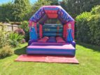 princess bouncy castle image 1 min