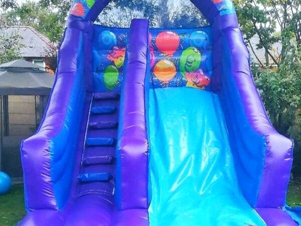 celebration slide bouncy castle